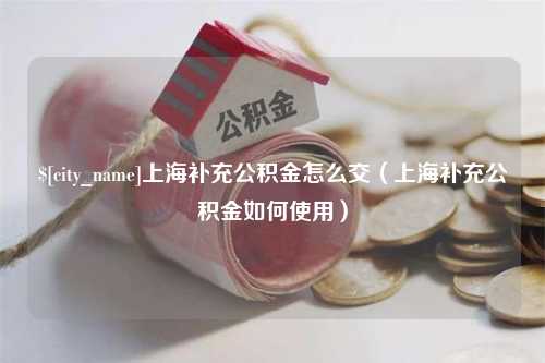 文昌上海补充公积金怎么交（上海补充公积金如何使用）